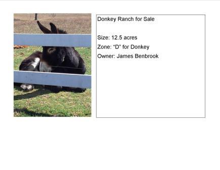 Test JPG for storybook